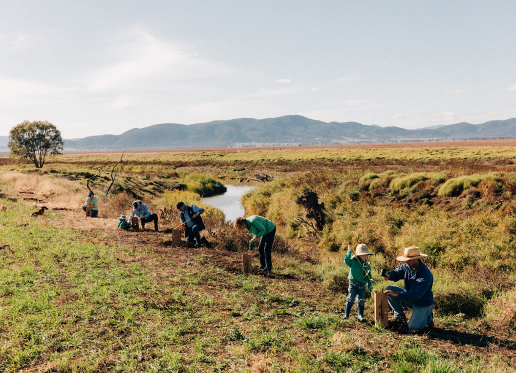 The Biodiversity Project: Meet the Hamparsums and the Pursehouses