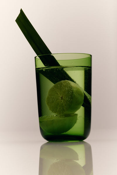 Talo Highball Set Of 2