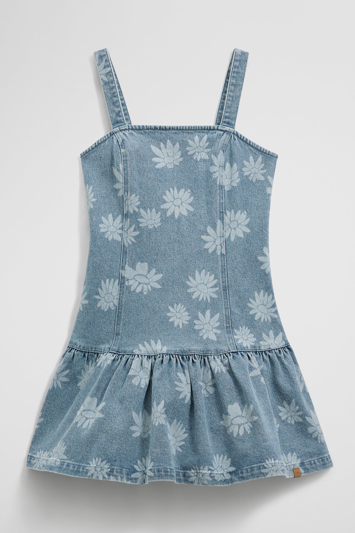 Teen Sleeveless Denim Print Dress