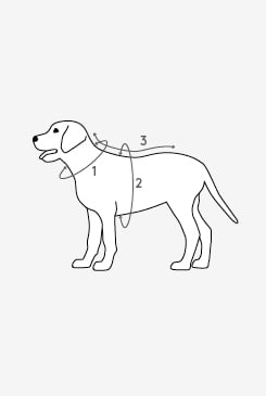 Pet harness size guide